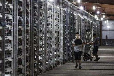 Expansive cryptocurrency mining farm bustling with activity